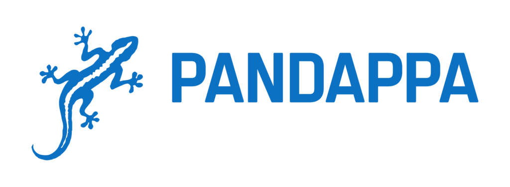 Pandappa business logo of blue outline drawing of a small gecko like lizard on the left, followed by the word Pandappa in blue with web services underneath in white.